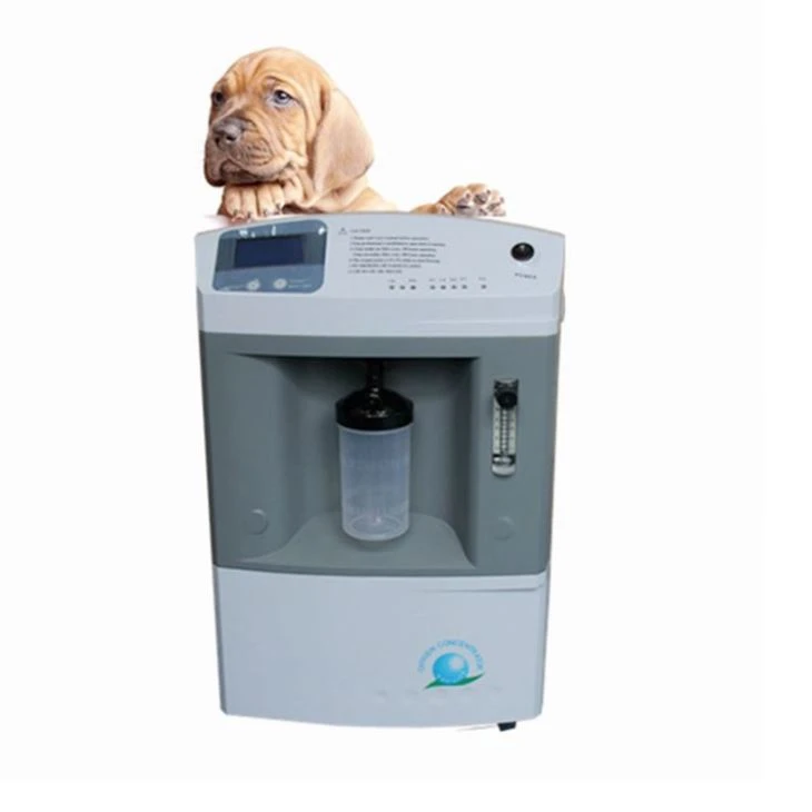 Continuous Flow Oxygen Concentrator For Animal Use