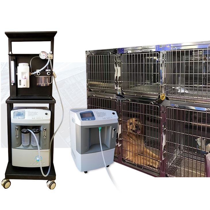 ऑक्सीजन Concentrator पशु चिकित्सा के लिए एनेस्थेसिया कनेक्ट करें